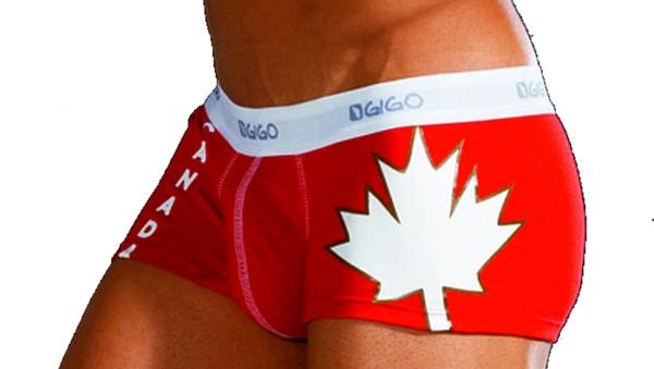 Gigo Canada Boxer Gr.S